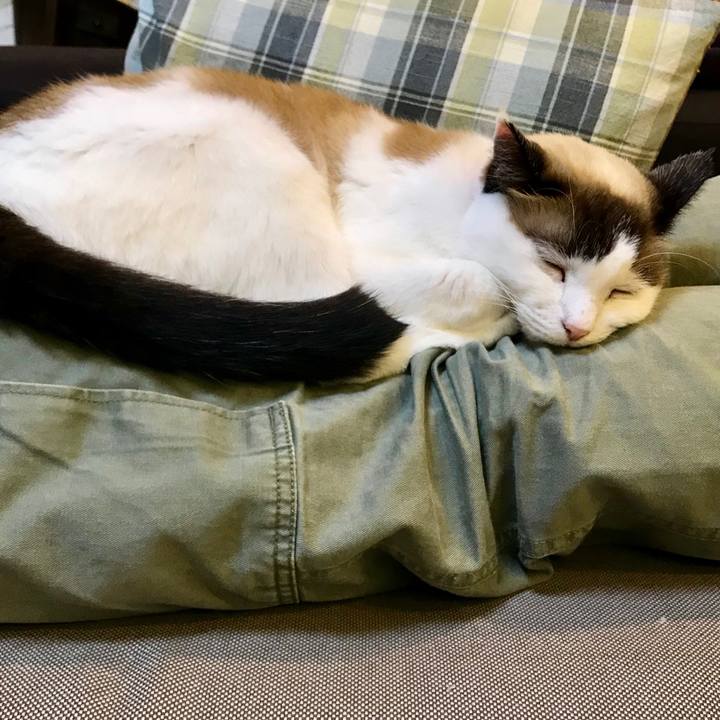 B3bef0f3 80ed 4895 9bfc e1f3da7c873c 1541595841536