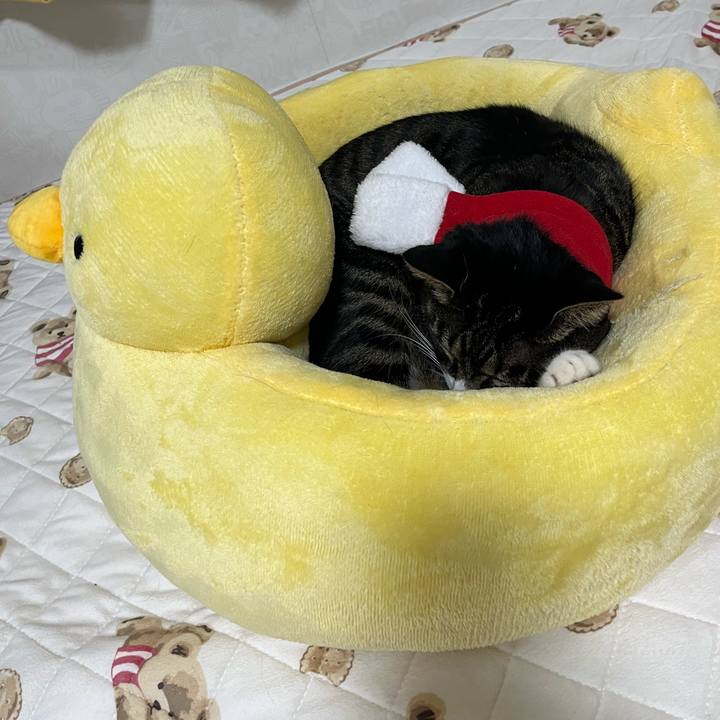 B3beffb9 c6f5 401d bf12 456f26a123c4 1766884091340