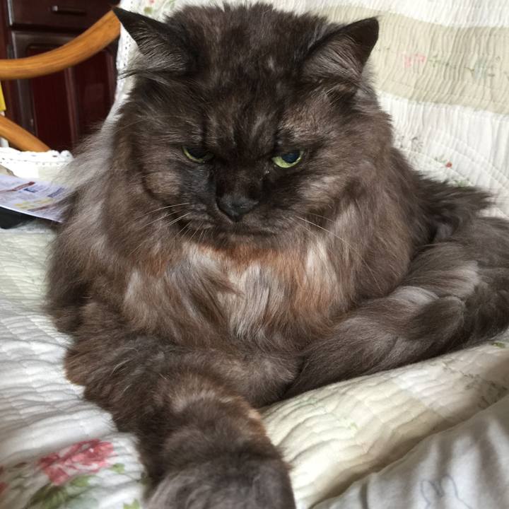 B3bf03e1 5203 4bd1 bed8 8e8dc2c2a028 1653186673934