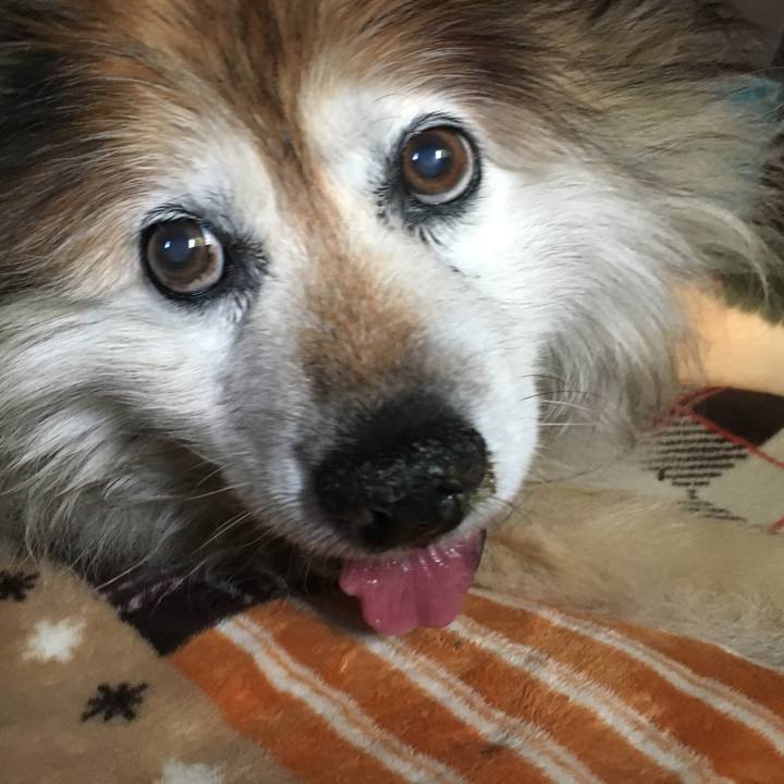 B3bf0835 6aa6 4c57 8e76 91b9d34623f2 1629998627390