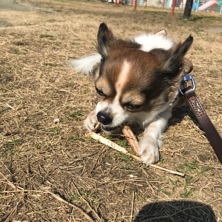 B3bf0a6e abd2 4c35 b2a0 e822e77b4c95 1518664370319