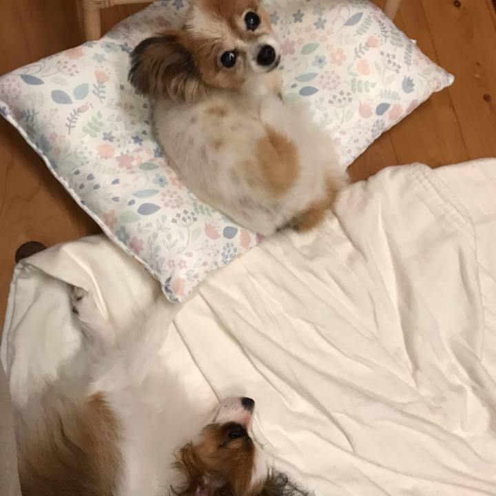 B3bf0a77 9c1a 4999 8ab3 86d382d2ffc6 1659392341082