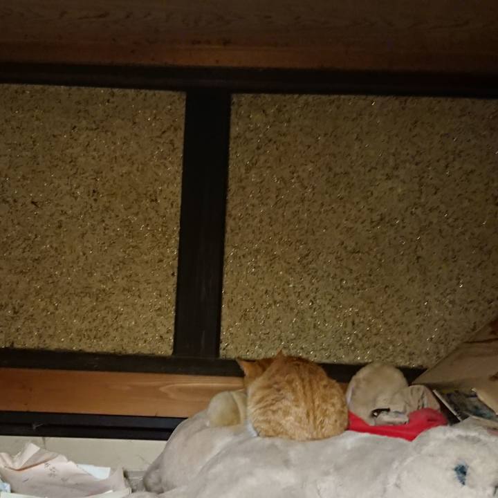 B3bf0c54 4056 45f1 8451 cc7300dc4d98 1589972079956