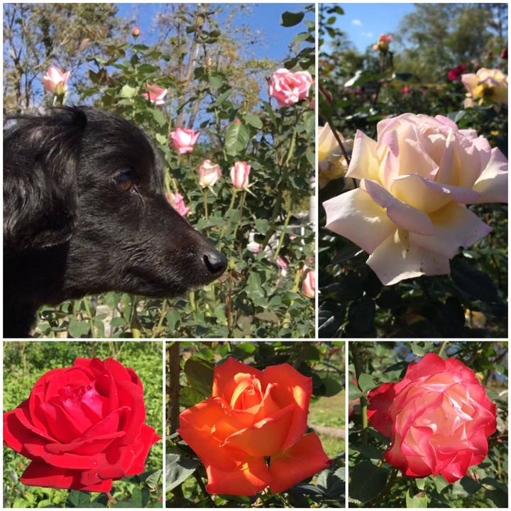 B3bf1027 d1ae 456d 8e21 868781543065 1543029249037