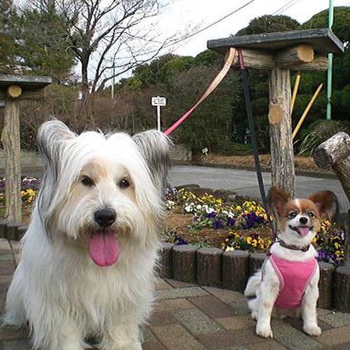 B3bf2ab5 0fbc 4b8f 8efb 8b7c9d700a26 1555898060125