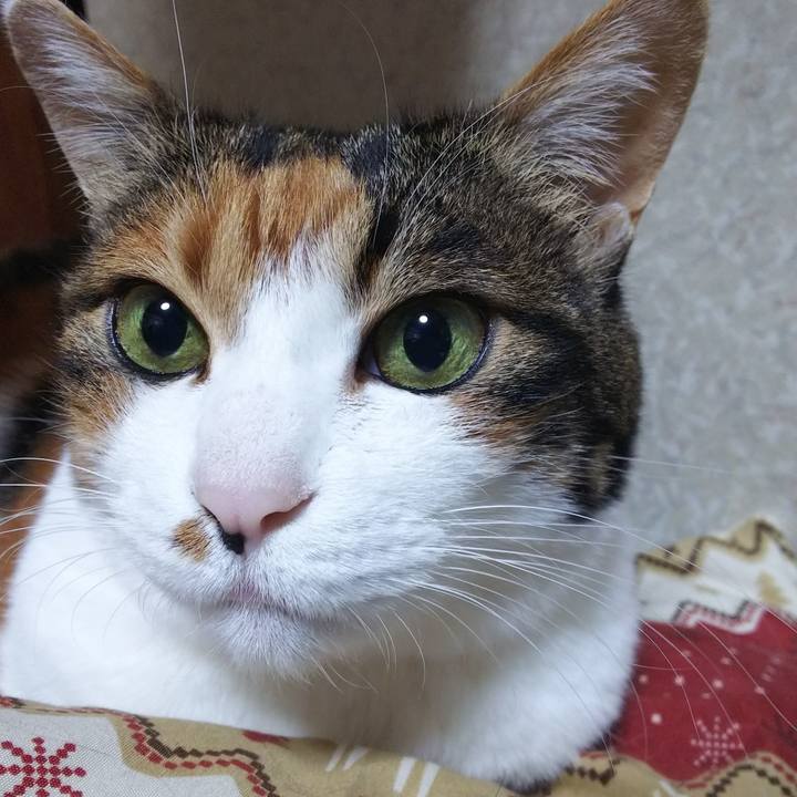 B3bf32e9 d9ed 4473 9465 1fba34d66cc3 1548103685096