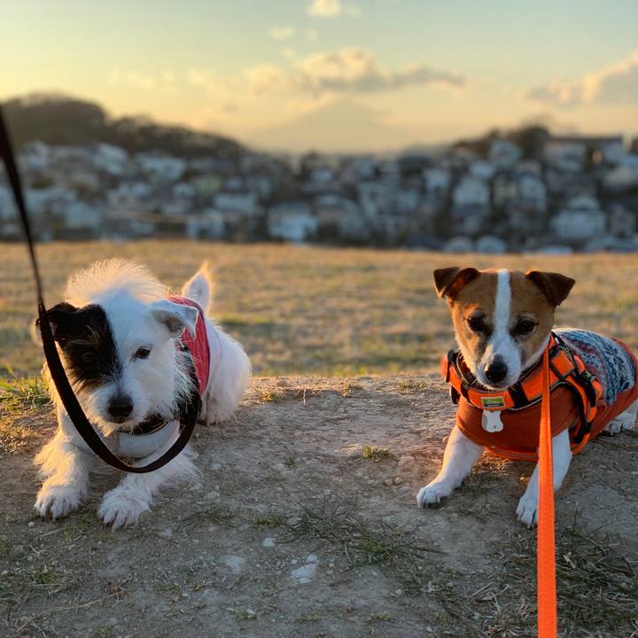 B3bf41f7 b905 43e2 8e2d 852f0b2b5472 1547971452800