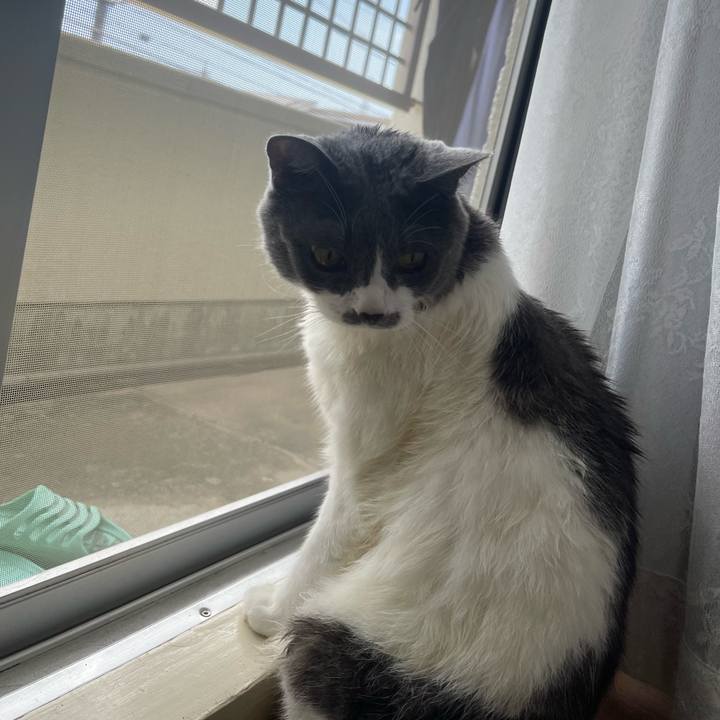 B3bf4dd1 d7a7 4eb3 b7a4 ff70480ce1d6 1752383334350