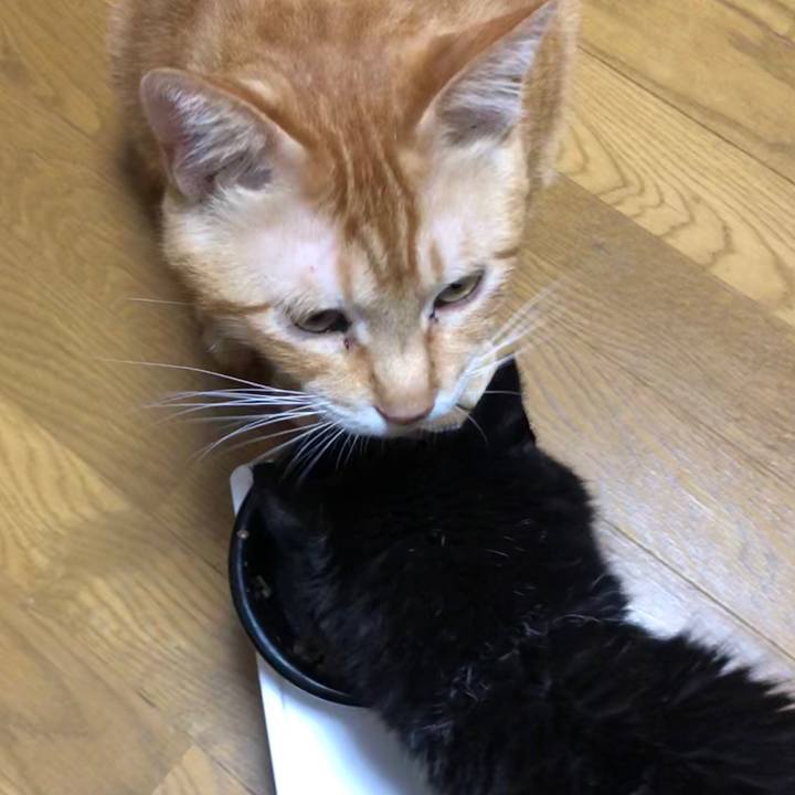 B3bf5144 7f77 4529 9764 48cc98dea10c 1599040877821