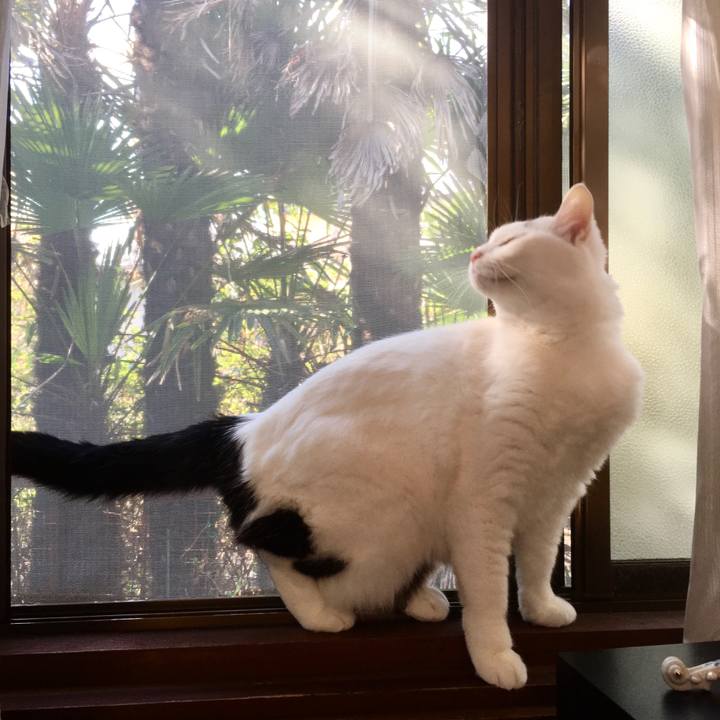 B3bf5981 8068 443e 8e4f 97152c261d3f 1584948275220