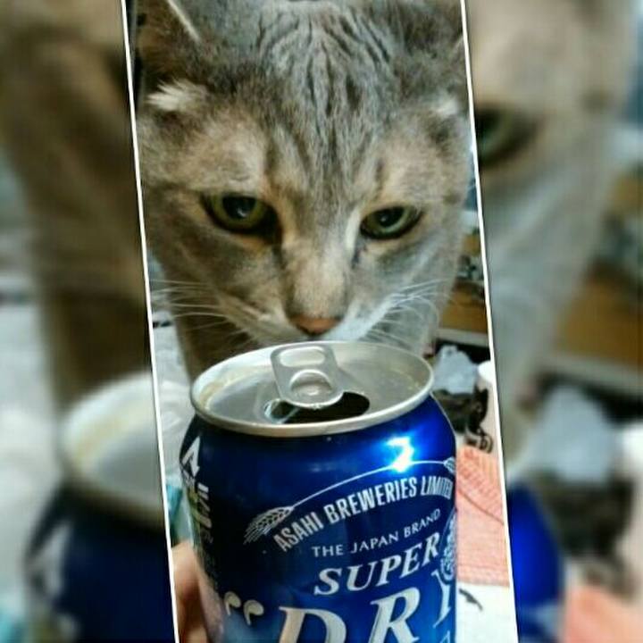 B3bf5db4 423e 49c3 b71c 465749661007 1559299745800