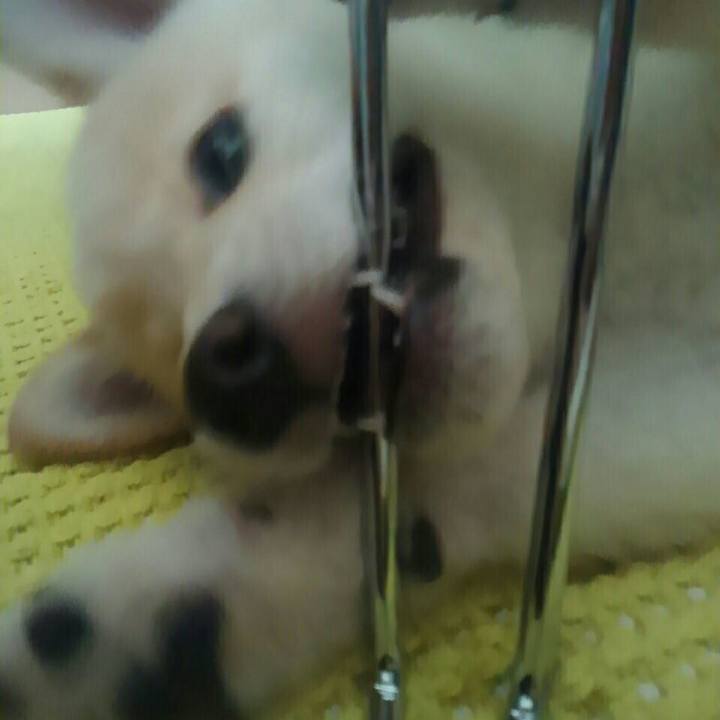 B3bfab72 5ea7 42d2 92b0 40a5bb91654c 1553741127181