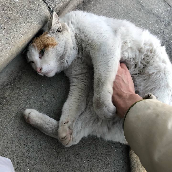 B3bfc371 64e5 46e5 8023 034e98e97682 1520673760223