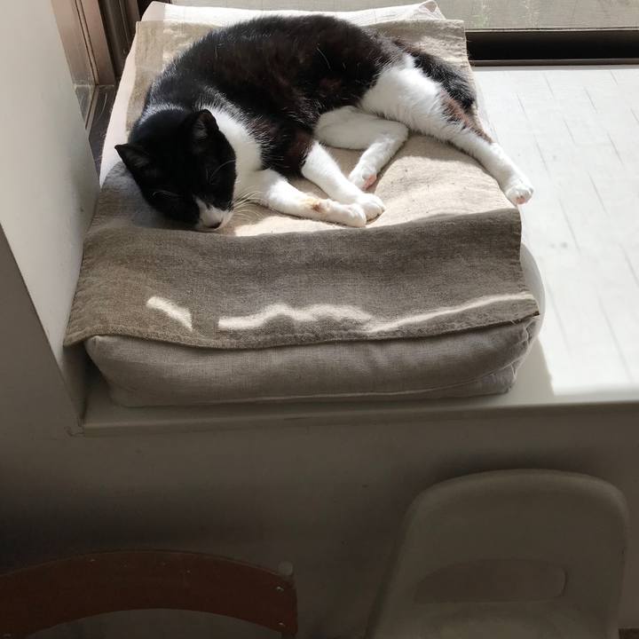 B3bfc6af 8ad4 43d7 9f1f a592955d3d69 1512547498365