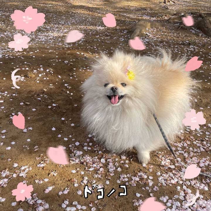 B3bfec18 ce5b 4ef0 9b40 be6275d0aff7 1744262894694