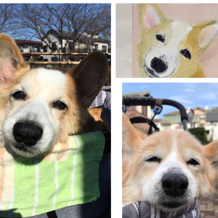 B3c02763 0d3b 4ff3 ac0b e56e88d9916a 1585455285209