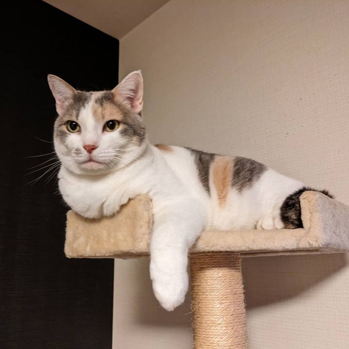 B3c03481 c0c7 486e 99cc c9169af25b0e 1713422332510