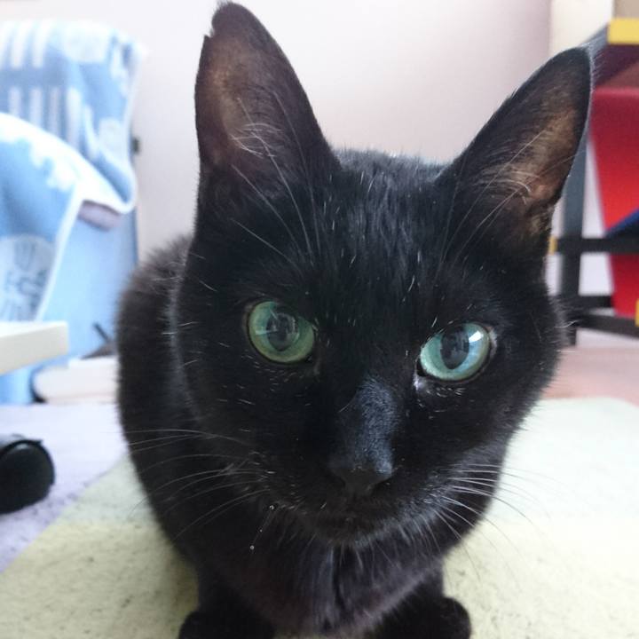 B3c06204 969b 4433 81e2 78b4786aebce 1539491808721