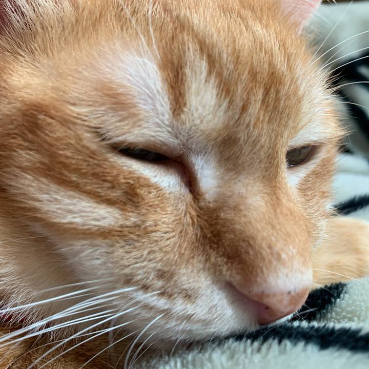 B3c078c4 dc7b 4e52 813d ce515ad01cb3 1580534519827