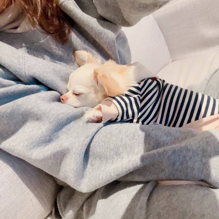 B3c08042 a754 4307 b3c1 fd2f798ac3b0 1706185337027