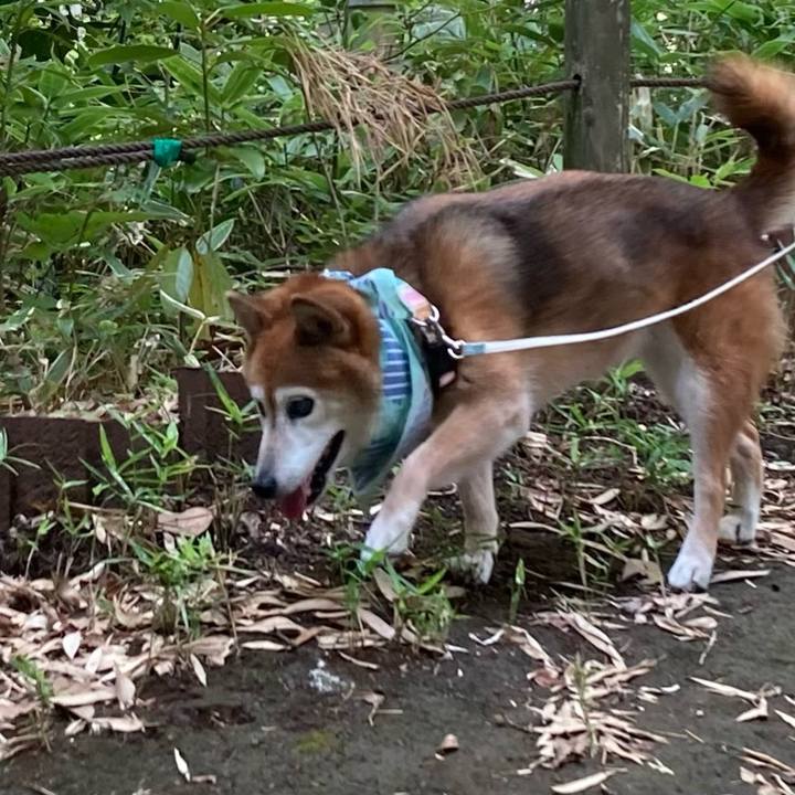 B3c0d579 6a21 4aac af6b 8f6884c9a8b7 1755576047773