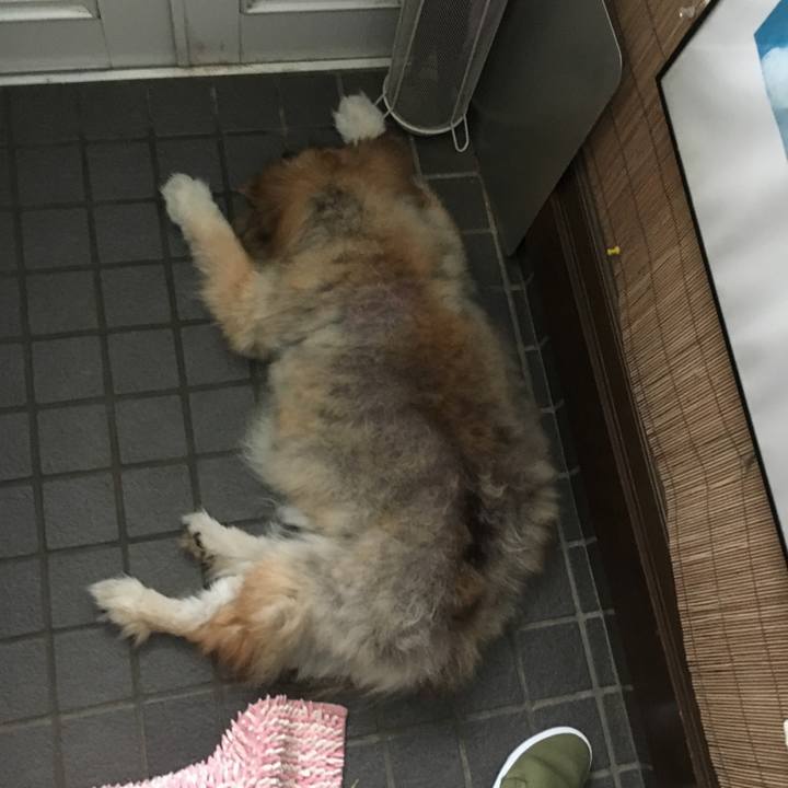 B3c0e4ba d592 43ff ba12 27eabe814d22 1587350343819