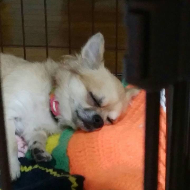 B3c102b1 af46 46f1 95b0 be9864371935 1509627768397