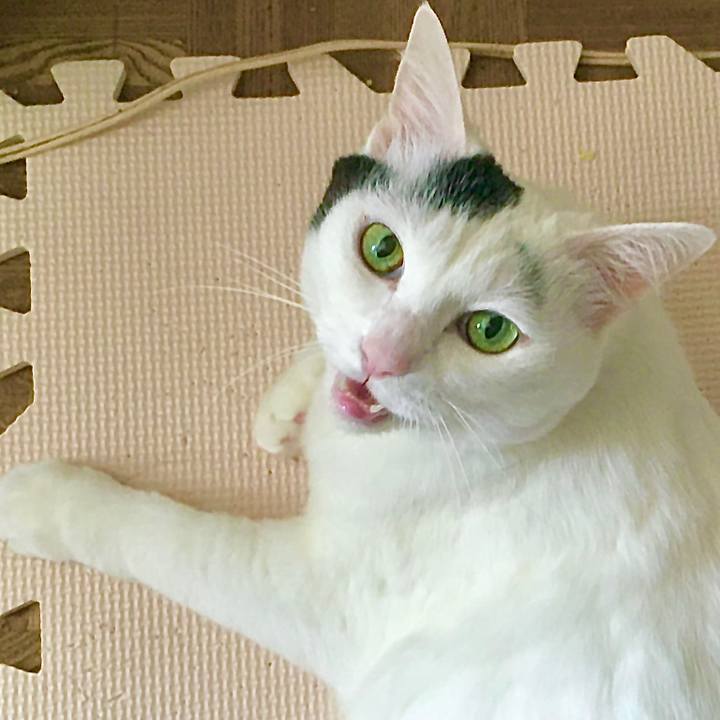 B3c1296d ce0d 4f1e a389 f082b06c44fe 1588580786515