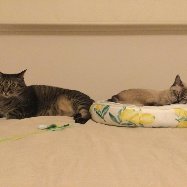 B3c1778e 6cac 460c b74e 880121891333 1691934035439