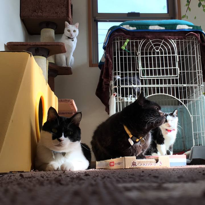 B3c182c5 a4f4 4a7f 84fb 75c33883671e 1516243592287