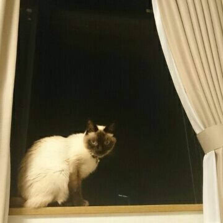 B3c18fa9 7d13 46e4 8912 c8d3801f7e16 1526992372029