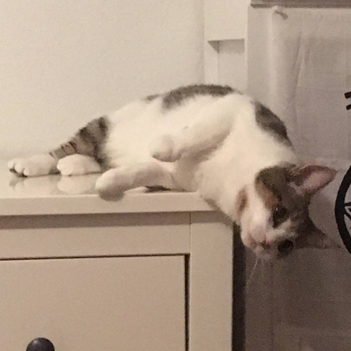 B3c19533 3381 4bd1 b786 04d97ded8f81 1663025531342