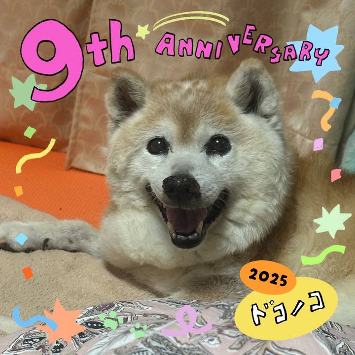B3c1a364 a36d 4d62 ba14 8961ac1c4431 1749126233121
