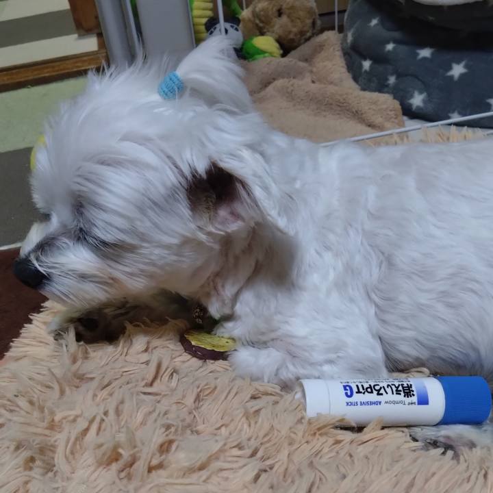 B3c1d305 ff2d 49b4 8374 c98a5980777f 1732449479001