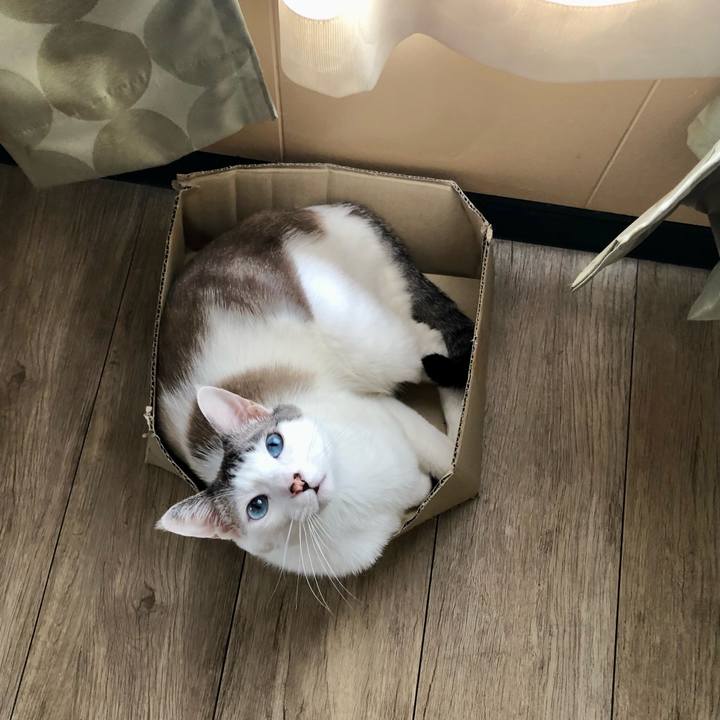 B3c1d78a 6801 42f3 8c0a 689893c62ac1 1657849807594