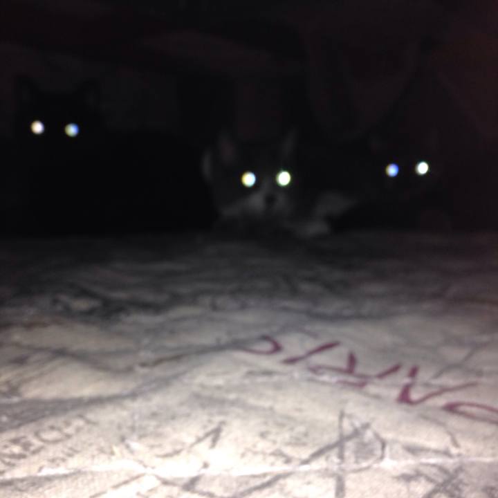 B3c1da9b 2776 4663 b6df 6ae4c4206381 1511324055208