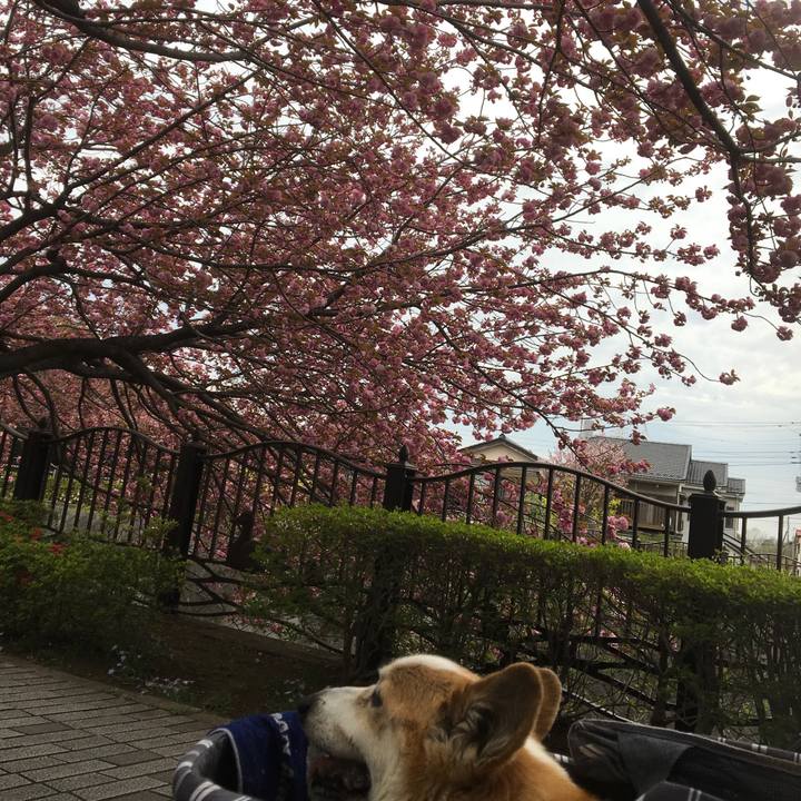 B3c2005d 1845 4968 8362 abd2665c6bc3 1555491385184