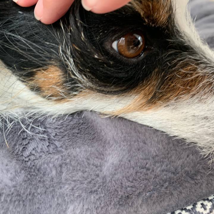 B3c201f0 3359 4a27 bbb1 fae018f4ab91 1620264836647