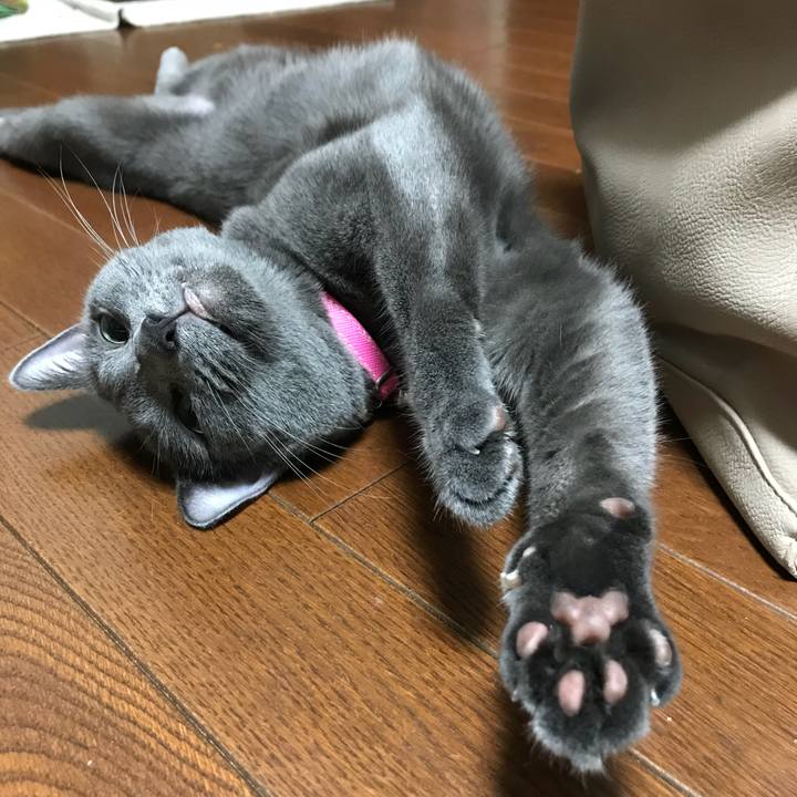 B3c21d8f 8664 41c4 a409 09b03397fef9 1534377106098