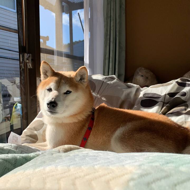 B3c24e19 e869 4509 8d04 224419856ea0 1673345313040