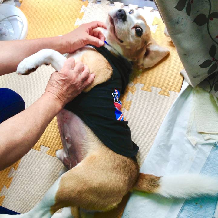 B3c282aa cbd5 4e0e 81c1 2d8eb5f182bf 1753508986048