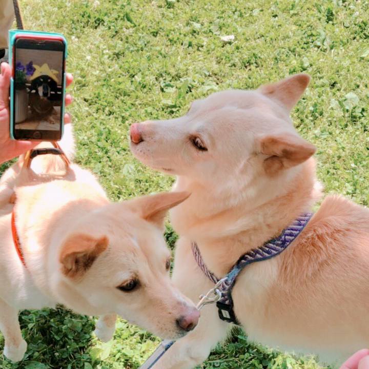 B3c28df1 6ec5 4e11 958c 04ef8dc5701a 1556968918488