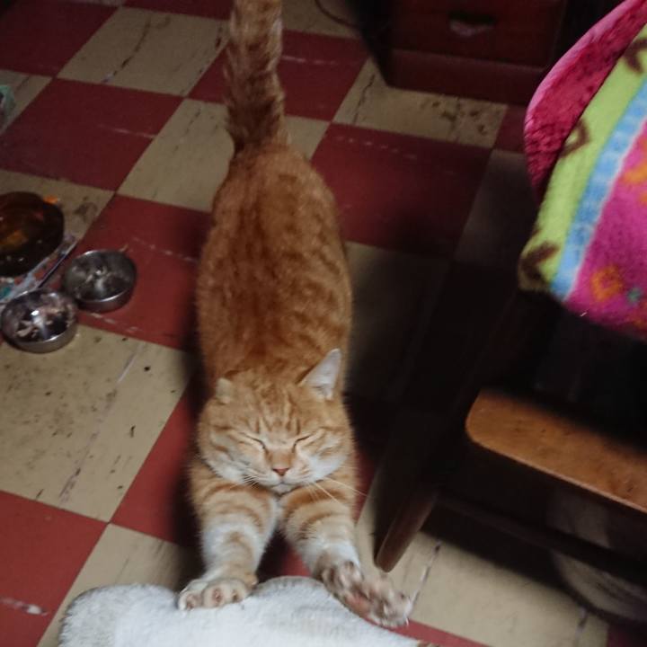 B3c2f31c 845a 4b5c be6d 7d49469a48d4 1580587164818