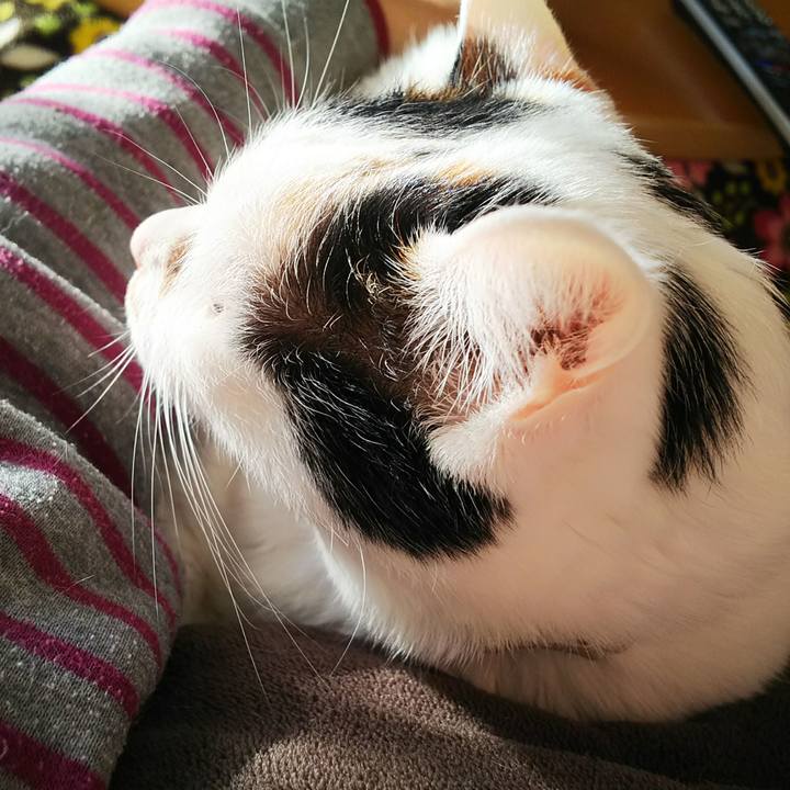 B3c3455e 41e6 49d1 98ea 25422c21518d 1546755306614