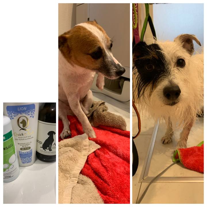 B3c373c5 4c08 4cd2 ab52 90b097deef73 1576633845852