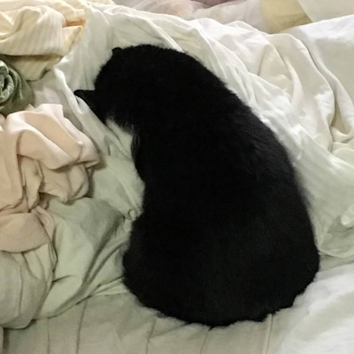 B3c3acdf 223b 47d4 ba61 5f2f5066a99d 1579496410919