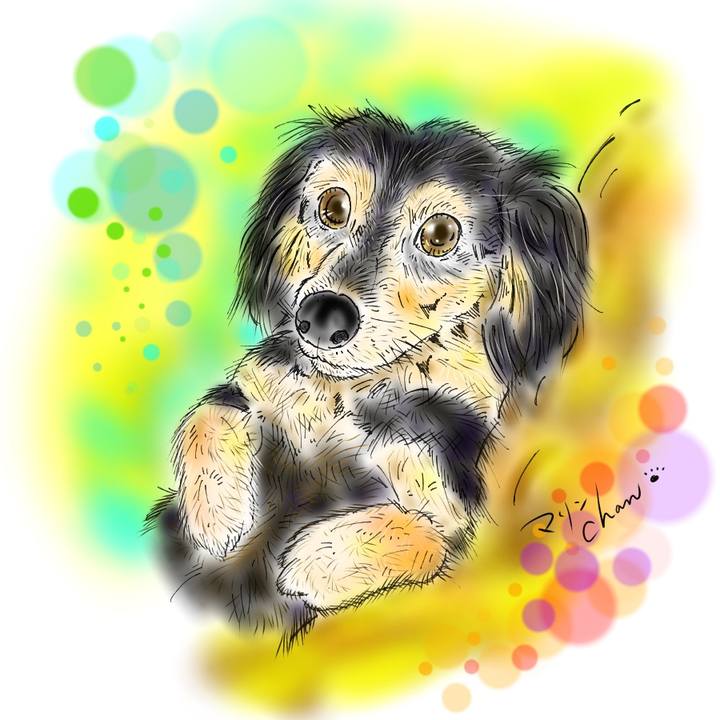 B3c3d122 aac0 4826 8af4 422745296d0d 1596470776559