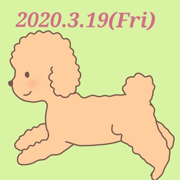 B3c3e359 acb0 4c65 b6b7 06e53d4091ca 1584627618770