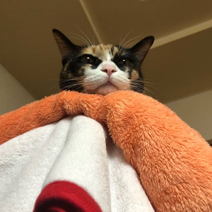 B3c3f1a3 3dad 42ef 81a6 7c349678ffb6 1575891106550