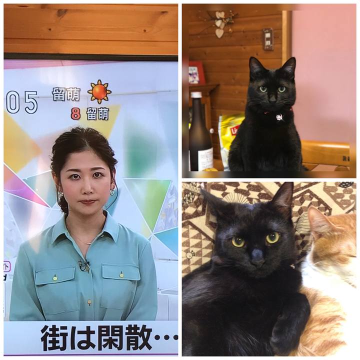 B3c3f1b2 b39c 489c a671 73daf31060d8 1585520069765